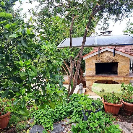 Oasis