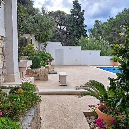 Oasis *